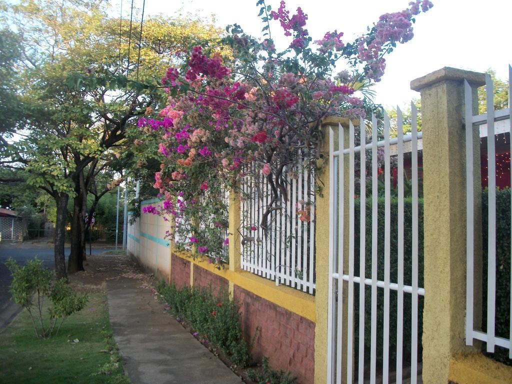 Hostal Casa Los Espinoza Манагуа Экстерьер фото