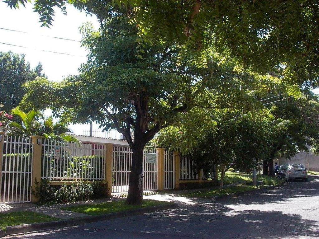 Hostal Casa Los Espinoza Манагуа Экстерьер фото